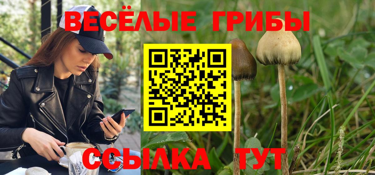 Галлюциногенные грибы мицелий Моздок